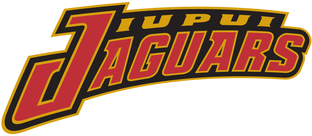 IUPUI Jaguars 2002-Pres Wordmark Logo diy iron on heat transfer